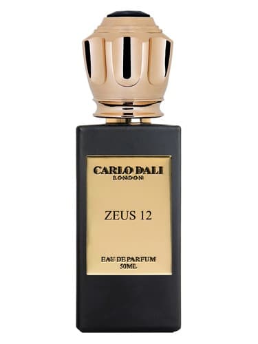 ZEUS 12 