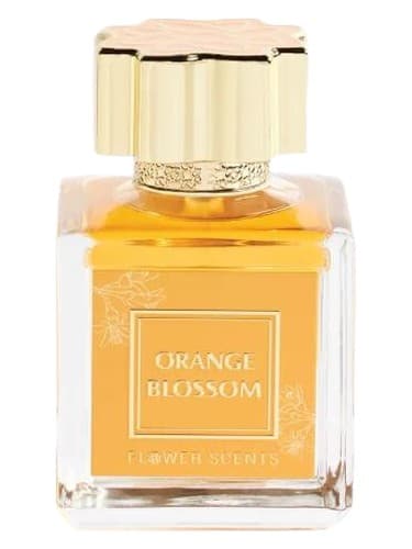 Orange Blossom - شکوفه اورنج