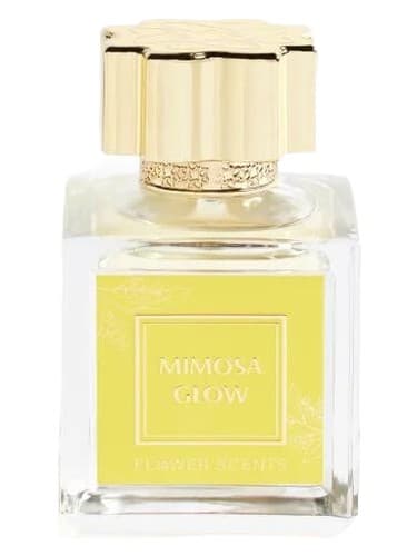 Mimosa Glow - میموزا گلو