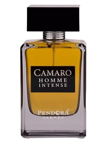 Camaro Homme Intense 
