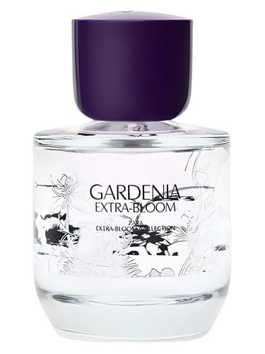 Gardenia Extra-Bloom - گاردنیا اکسترا بلوم