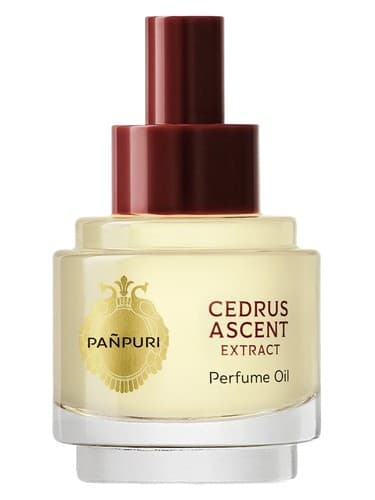 Cedrus Ascent - صعود سدروس