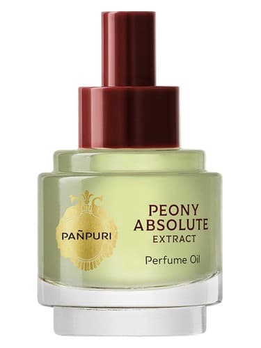 Peony Absolute - گل صد تومانی مطلق