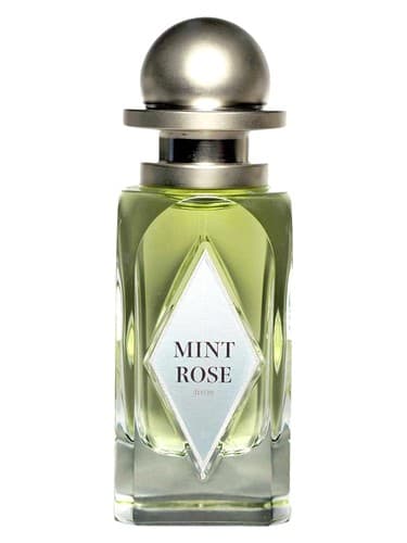 Mint Rose - رز نعناع
