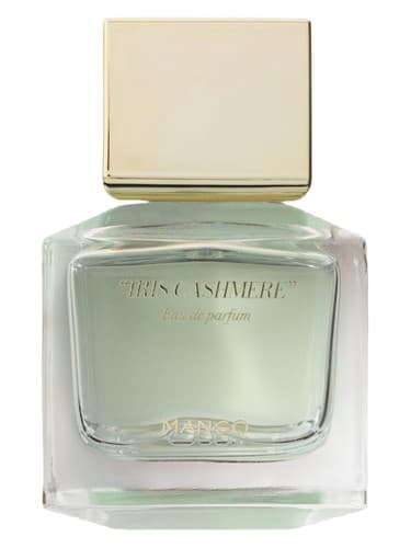 Iris Cashmere - ترمه زنبق
