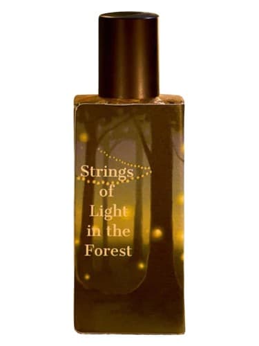 Strings of Light in the Forest - رشته های نور در جنگل