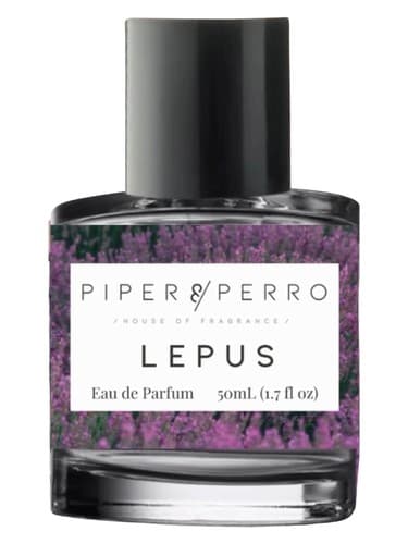 Lepus