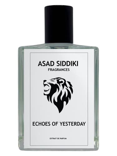 Echoes of Yesterday - پژواک دیروز