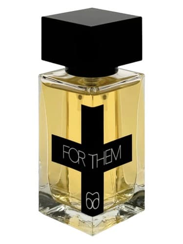 No. 6 - شماره 6