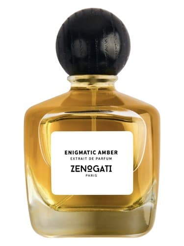 Enigmatic Amber - کهربای معمایی