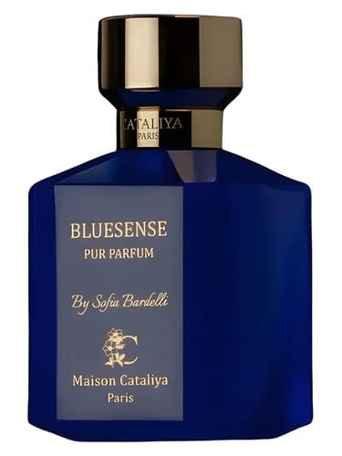 Bluesense - بلوسنس