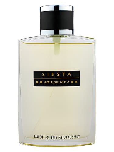 Siesta - سیستا