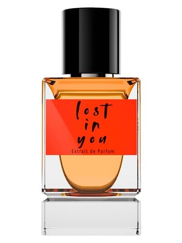 Lost in You - گم شده در تو
