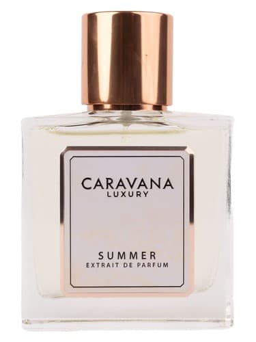 Summer - سامر