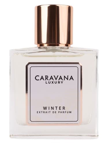 Winter - وینتر