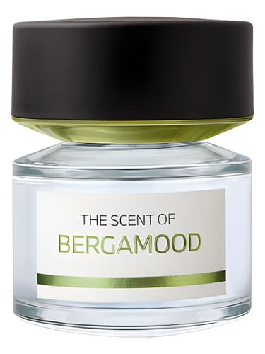 Bergamood - برگامود
