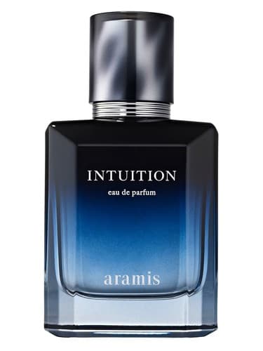 Intuition - شهود