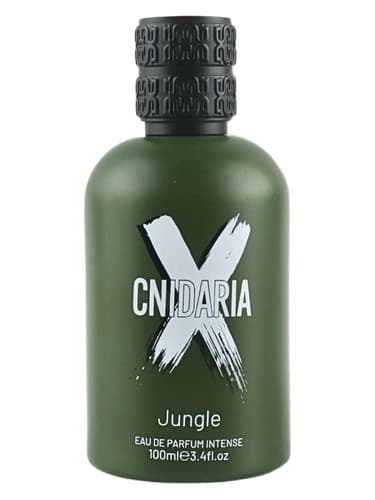 Cnidaria Jungle - جنگل Cnidaria