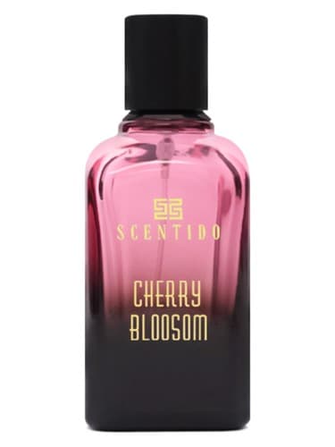 Cherry Blossom
