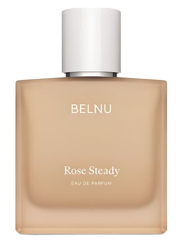 Rose Steady
