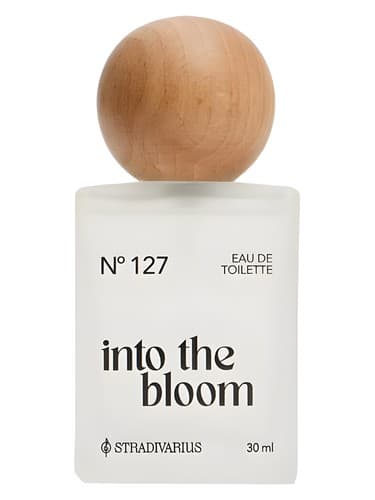 Nᵒ127 Into the Bloom