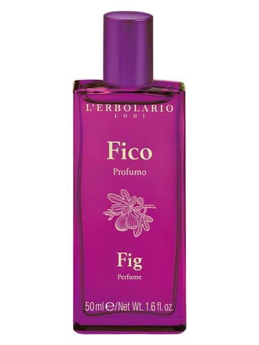 Fico / Fig - فیکو / Fig
