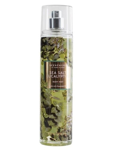 Sea Salt Eucalyptus - اکالیپتوس نمک دریایی