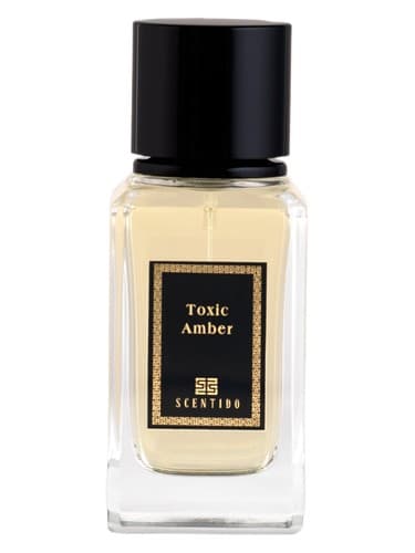 Toxic Amber - امبر سمی
