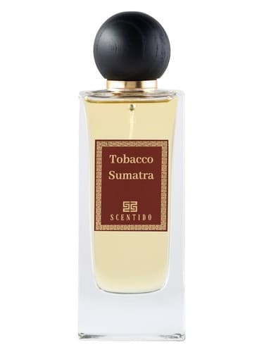 Tobacco Sumatra - تنباکو سوماترا