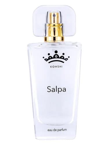 Salpa - سالپا