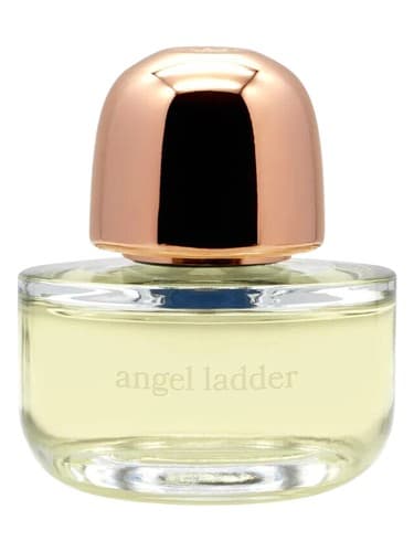 Angel Ladder - نردبان فرشته