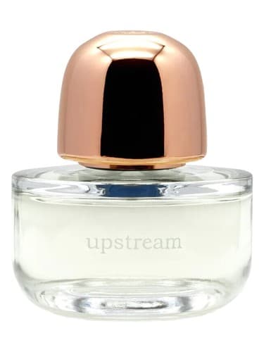 Upstream