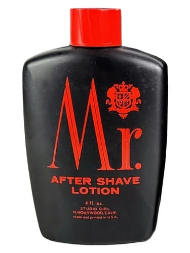 Mr. - آقای
