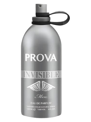 Invisible