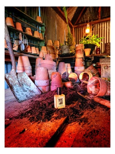 Wilcox's Potting Shed - سوله گلدان Wilcox