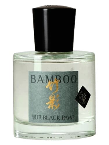 Bamboo 竹影