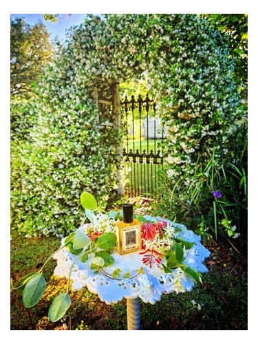 Queen of Dawn