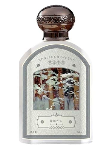 雪落长安