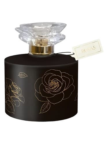 Rosas Rose Noir - روزاس رز نوآر