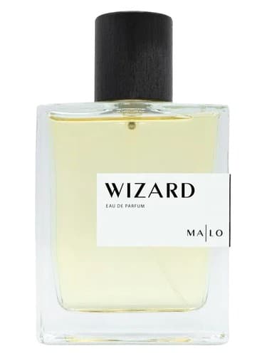 Wizard - جادوگر