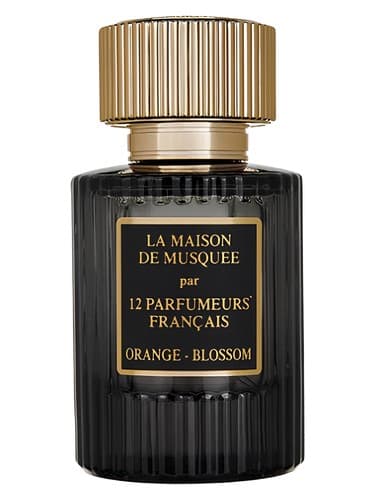Orange Blossom - شکوفه اورنج