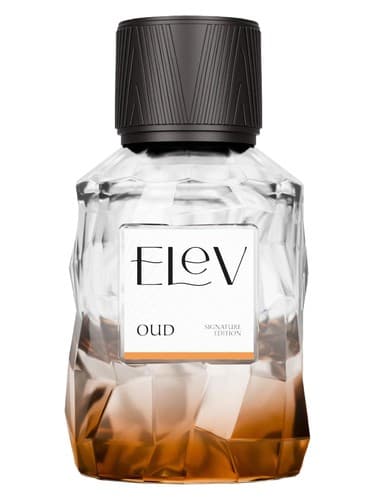 Oud - عود