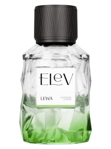 Lewa