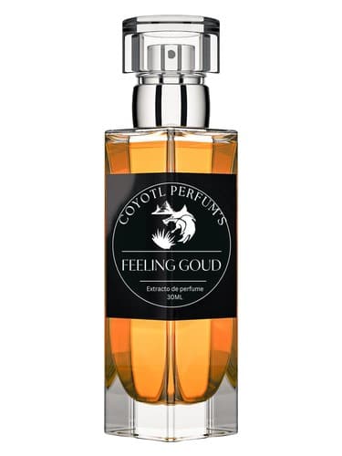 Feeling Goud - احساس گود