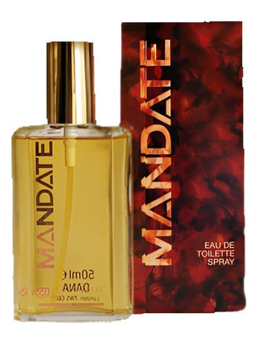 Mandate - مأموریت