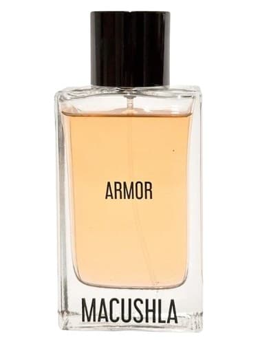 Armor - زره