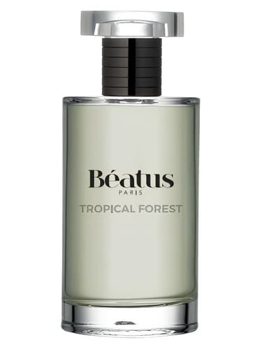 Tropical Forest