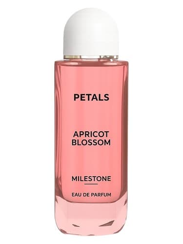 Petals Apricot Blossom