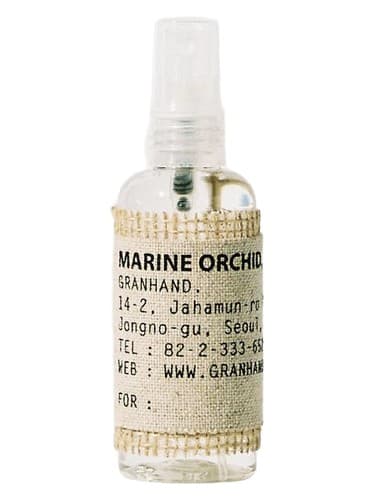 Marine Orchid