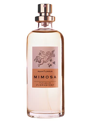 Mimosa - میموزا